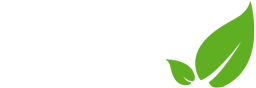 Les premières feuilles Sarl Logo